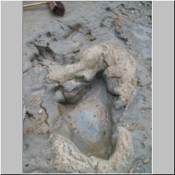 100_0654 (2009-27-07).JPG